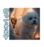 飛び出す★冬を感じるマルチーズ_挨拶（個別スタンプ：20）
