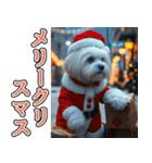 飛び出す★冬を感じるマルチーズ_挨拶（個別スタンプ：23）