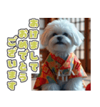 飛び出す★冬を感じるマルチーズ_挨拶（個別スタンプ：24）