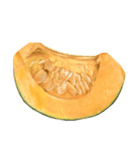 国産かぼちゃ【文字なし】（個別スタンプ：2）