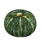 国産かぼちゃ【文字なし】（個別スタンプ：3）