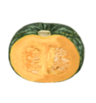 国産かぼちゃ【文字なし】（個別スタンプ：4）