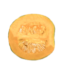 国産かぼちゃ【文字なし】（個別スタンプ：5）