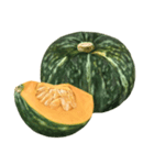 国産かぼちゃ【文字なし】（個別スタンプ：18）