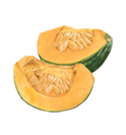 国産かぼちゃ【文字なし】（個別スタンプ：19）