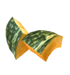 国産かぼちゃ【文字なし】（個別スタンプ：23）