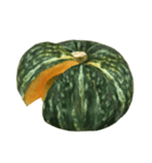 国産かぼちゃ【文字なし】（個別スタンプ：24）