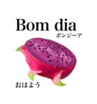 南国のドラゴンフルーツ【ポルトガル語】（個別スタンプ：2）