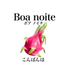 南国のドラゴンフルーツ【ポルトガル語】（個別スタンプ：3）