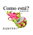 南国のドラゴンフルーツ【ポルトガル語】（個別スタンプ：4）