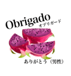 南国のドラゴンフルーツ【ポルトガル語】（個別スタンプ：5）