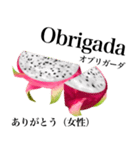 南国のドラゴンフルーツ【ポルトガル語】（個別スタンプ：6）