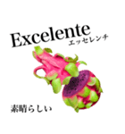 南国のドラゴンフルーツ【ポルトガル語】（個別スタンプ：9）