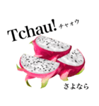 南国のドラゴンフルーツ【ポルトガル語】（個別スタンプ：13）