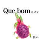 南国のドラゴンフルーツ【ポルトガル語】（個別スタンプ：14）