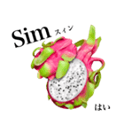 南国のドラゴンフルーツ【ポルトガル語】（個別スタンプ：15）