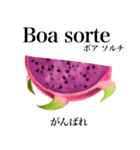 南国のドラゴンフルーツ【ポルトガル語】（個別スタンプ：16）