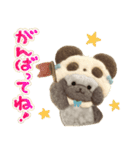 ゆるゆるパンダなトイプードルの日常（個別スタンプ：16）