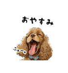 毎日使える大人可愛い茶アメコカ（個別スタンプ：3）