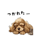 毎日使える大人可愛い茶アメコカ（個別スタンプ：39）