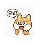 柴犬と一緒！毎日使えるスタンプ（個別スタンプ：3）