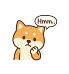 柴犬と一緒！毎日使えるスタンプ（個別スタンプ：8）