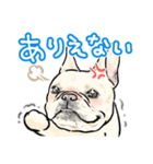 陽気なフレブルもたまにはネガティブ（個別スタンプ：29）