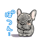 陽気なフレブルもたまにはネガティブ（個別スタンプ：33）