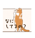 一年中使えるネコスタンプ＠スコ3（個別スタンプ：12）