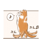 一年中使えるネコスタンプ＠スコ3（個別スタンプ：13）