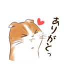 一年中使えるネコスタンプ＠スコ3（個別スタンプ：15）