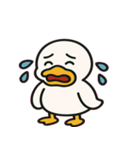 まんまるアヒルの気まぐれ便り@SFW（個別スタンプ：6）