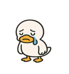 まんまるアヒルの気まぐれ便り@SFW（個別スタンプ：13）