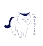 宇宙人、猫と住む（個別スタンプ：24）