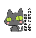 猫団長2（個別スタンプ：31）