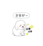 激しく尻尾をふるぽっちゃりプードル（個別スタンプ：8）