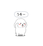 激しく尻尾をふるぽっちゃりプードル（個別スタンプ：14）