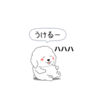 激しく尻尾をふるぽっちゃりプードル（個別スタンプ：21）