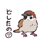 スズメです（個別スタンプ：1）