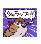 スズメです（個別スタンプ：5）