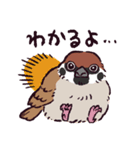 スズメです（個別スタンプ：7）