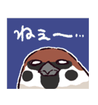スズメです（個別スタンプ：11）