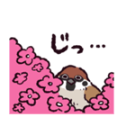 スズメです（個別スタンプ：12）