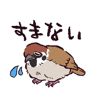 スズメです（個別スタンプ：13）