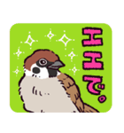 スズメです（個別スタンプ：14）