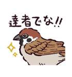 スズメです（個別スタンプ：23）