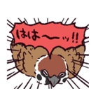 スズメです（個別スタンプ：24）