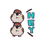 スズメです（個別スタンプ：29）