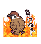 スズメです（個別スタンプ：36）