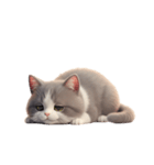【文字なし】 灰色＆白色 ねこ スタンプ（個別スタンプ：13）